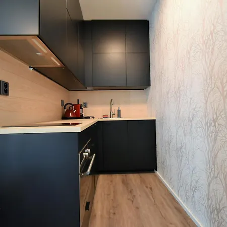 Apartman Labska - Апартаменты *
